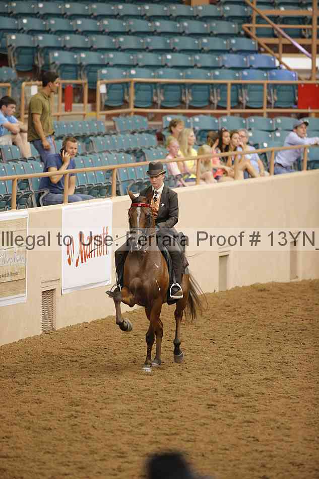 Proof 13yn_11186