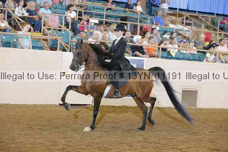Proof 13yn_11191