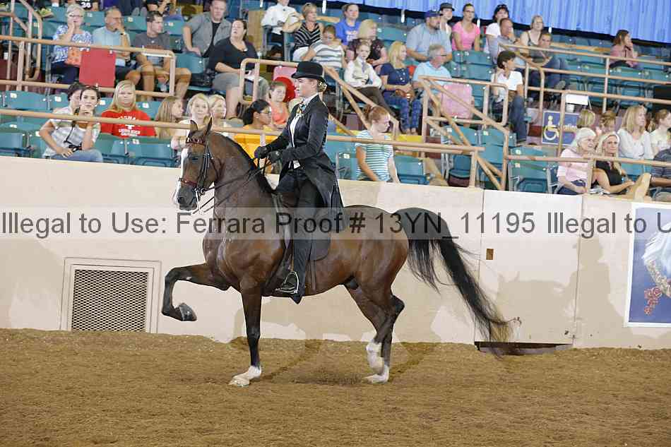 Proof 13yn_11195