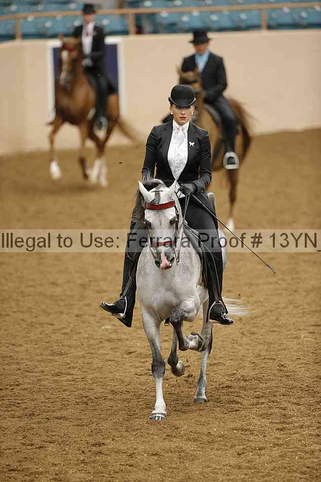 Proof 13yn_11203