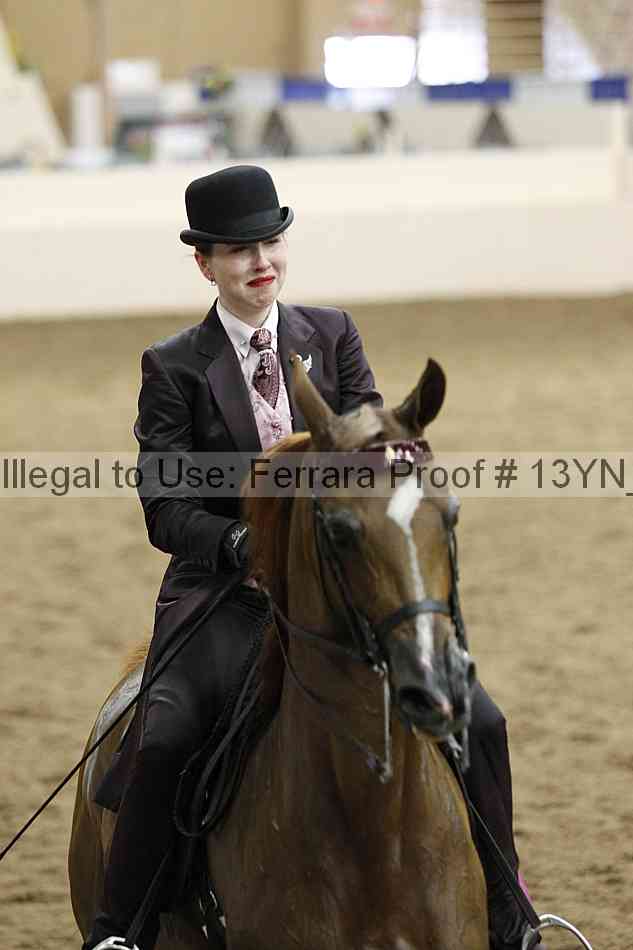 Proof 13yn_11264