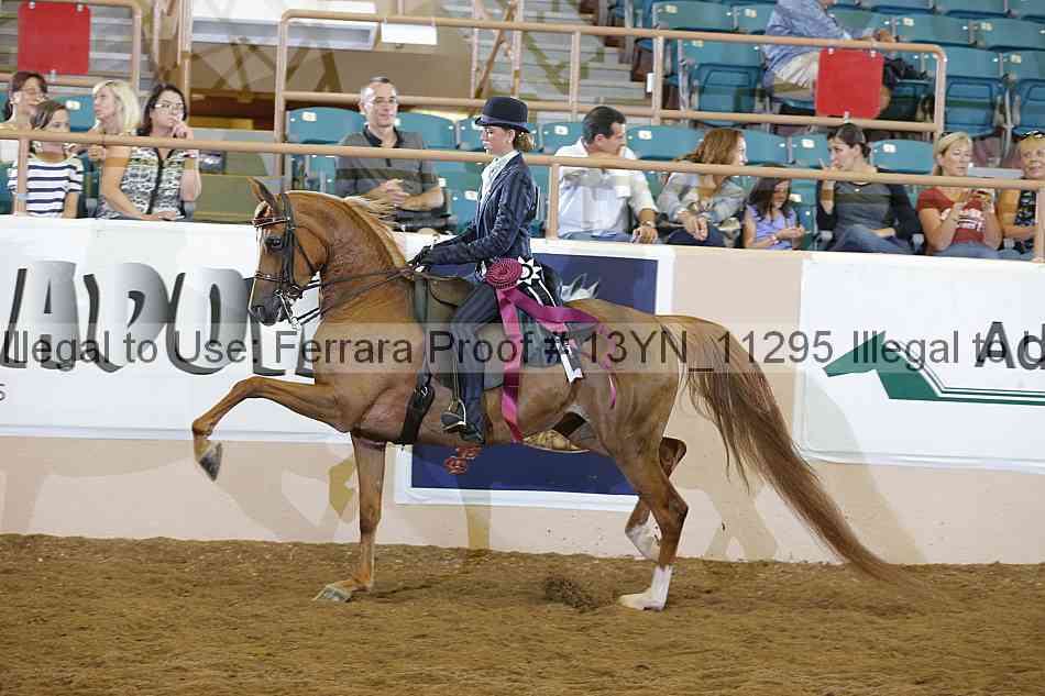 Proof 13yn_11295