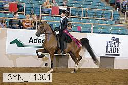 13yn_11301 proof
