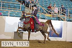 13yn_11312 proof