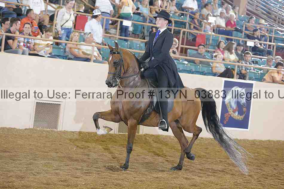 Proof 13yn_03883