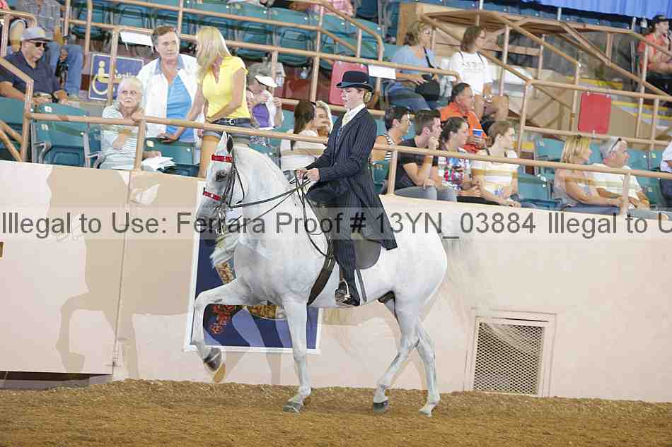 Proof 13yn_03884