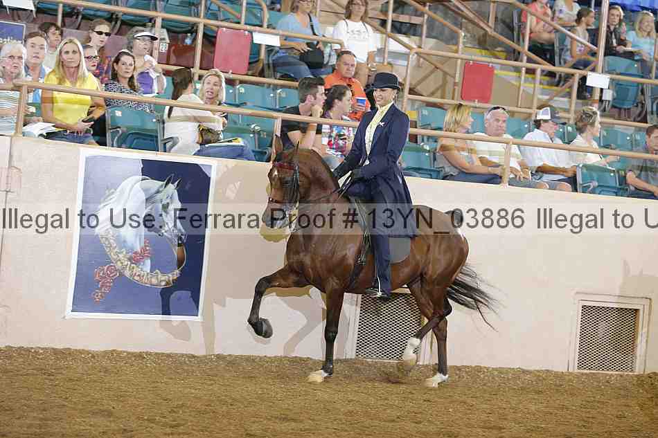 Proof 13yn_03886