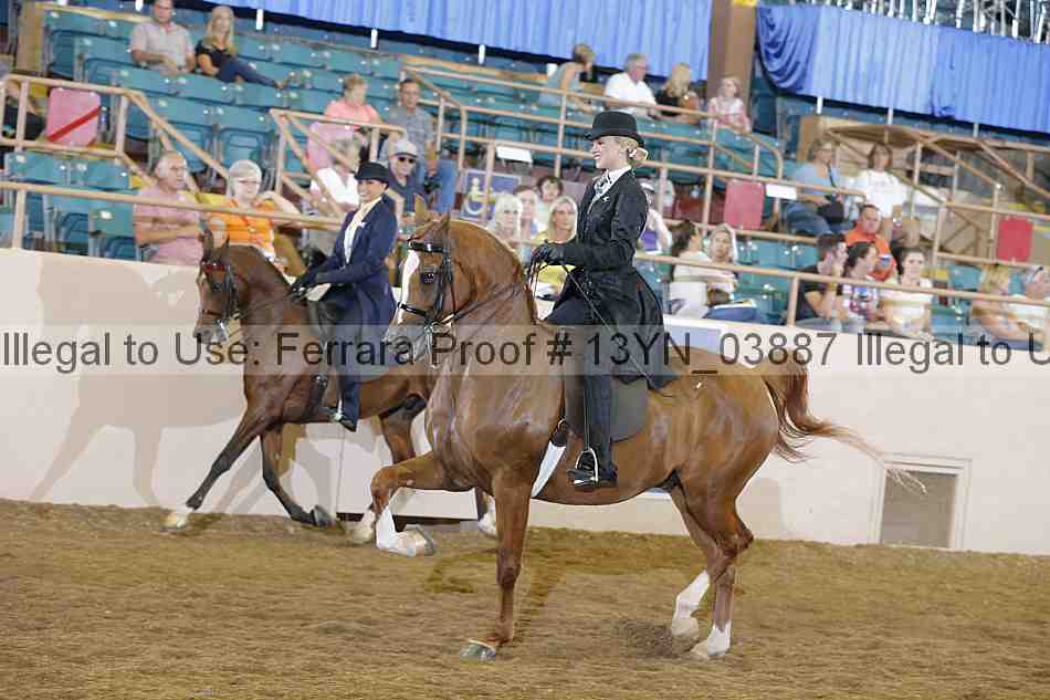 Proof 13yn_03887