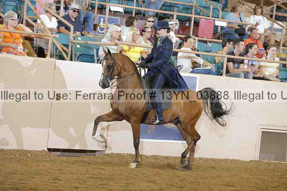 Proof 13yn_03888
