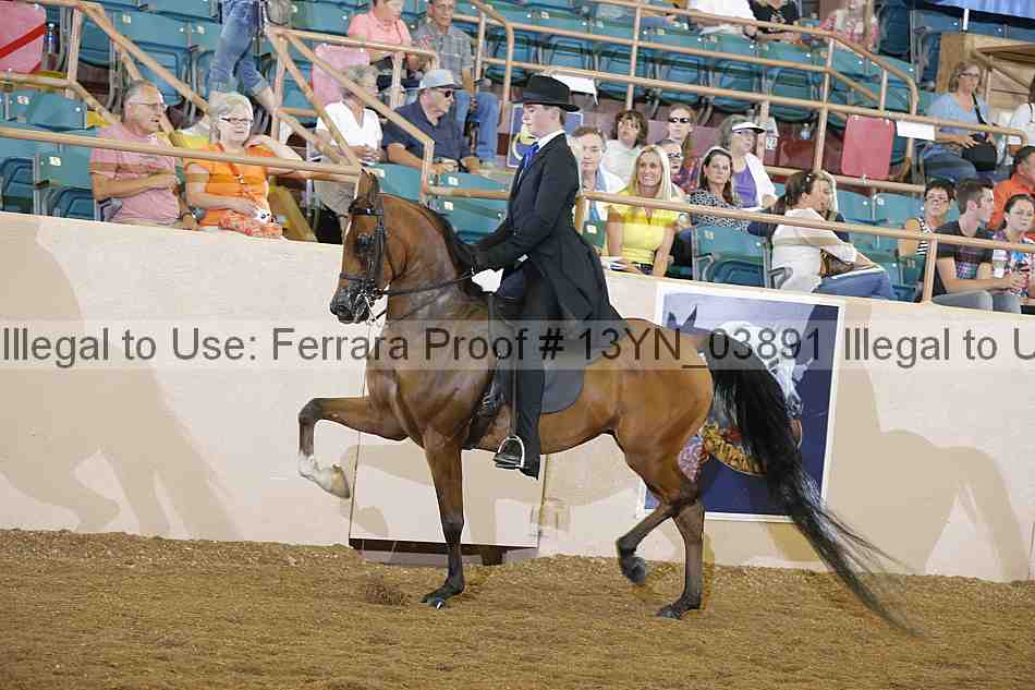 Proof 13yn_03891
