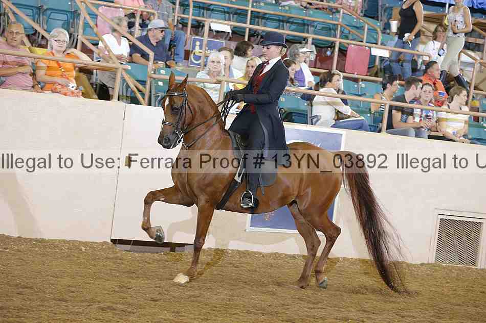 Proof 13yn_03892