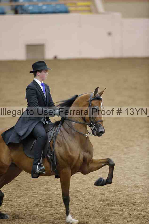 Proof 13yn_03893