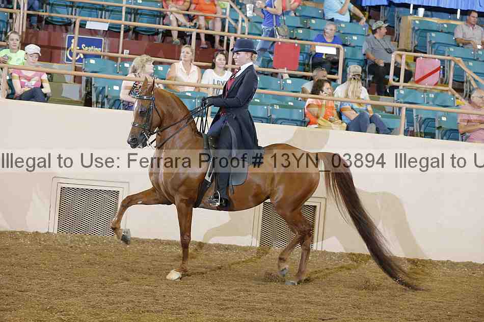 Proof 13yn_03894