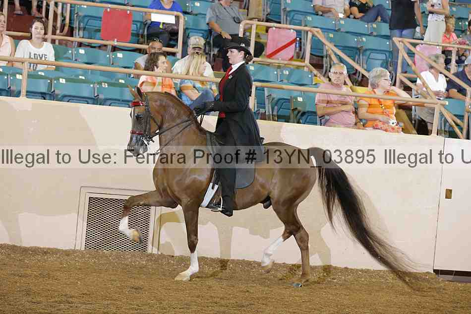 Proof 13yn_03895