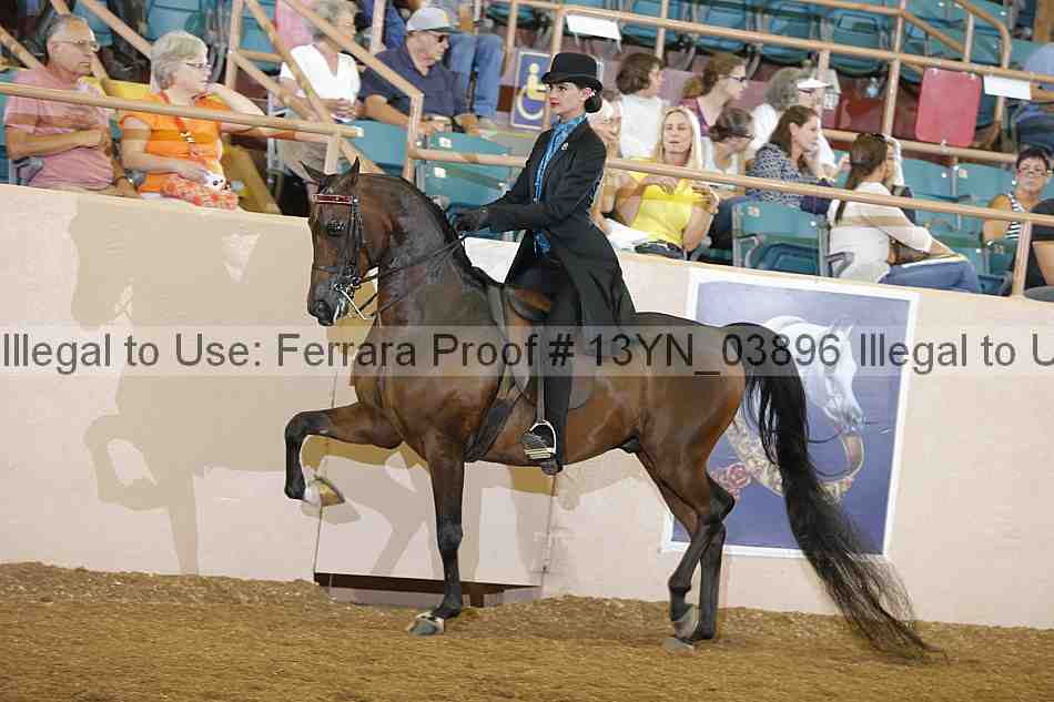 Proof 13yn_03896