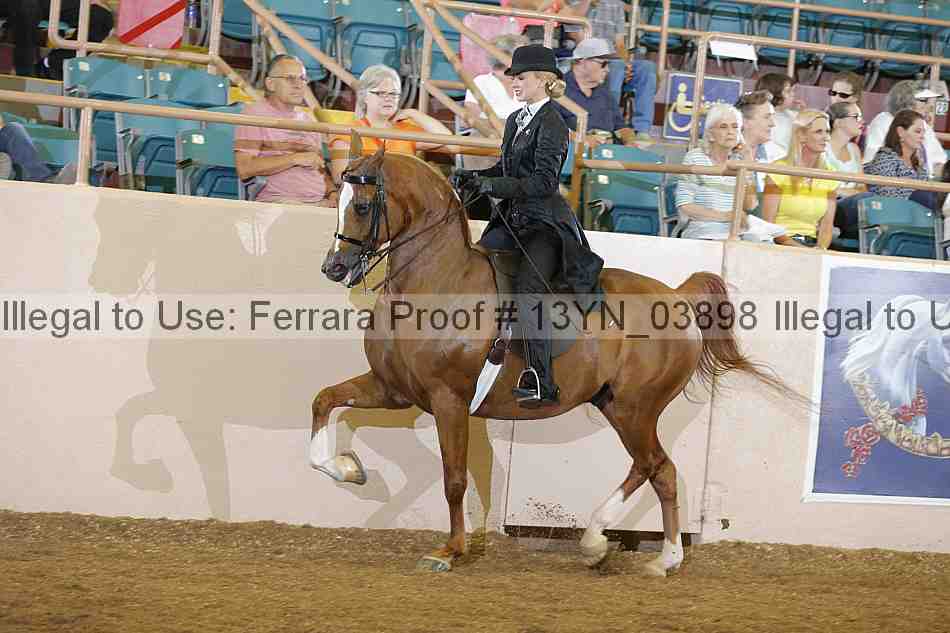 Proof 13yn_03898