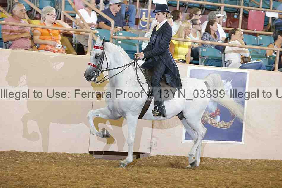 Proof 13yn_03899