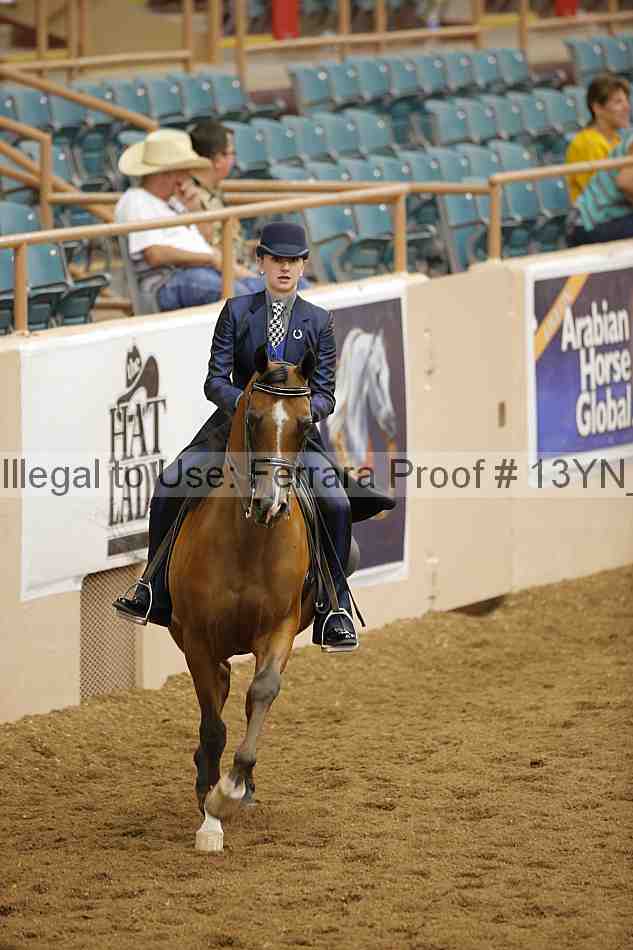 Proof 13yn_03901