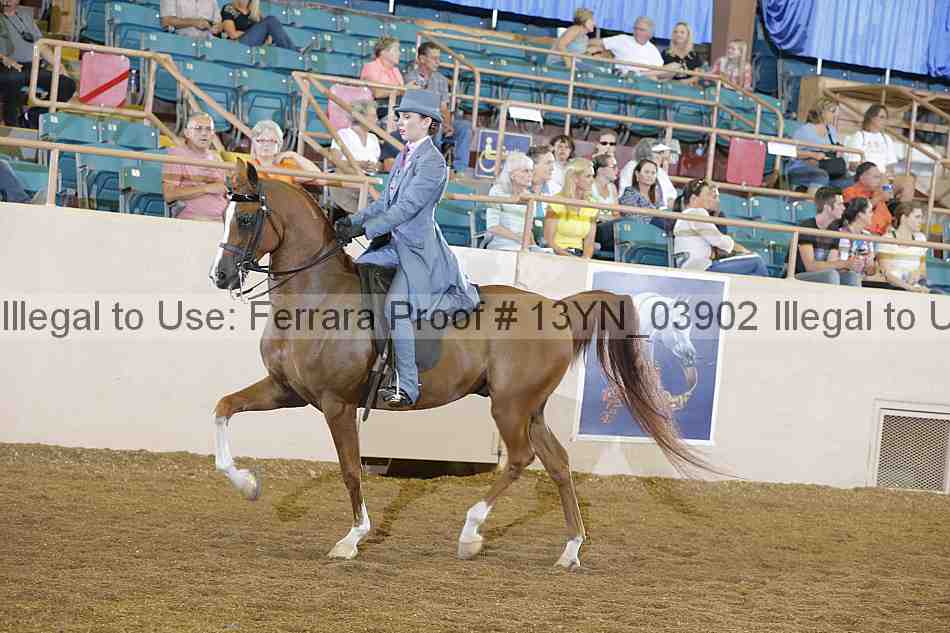 Proof 13yn_03902