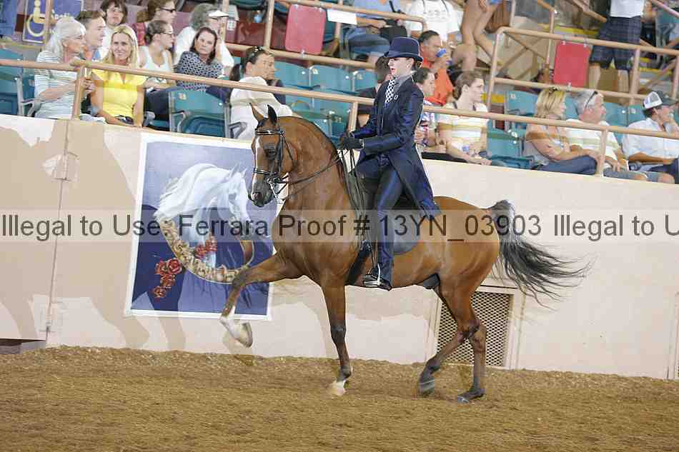 Proof 13yn_03903