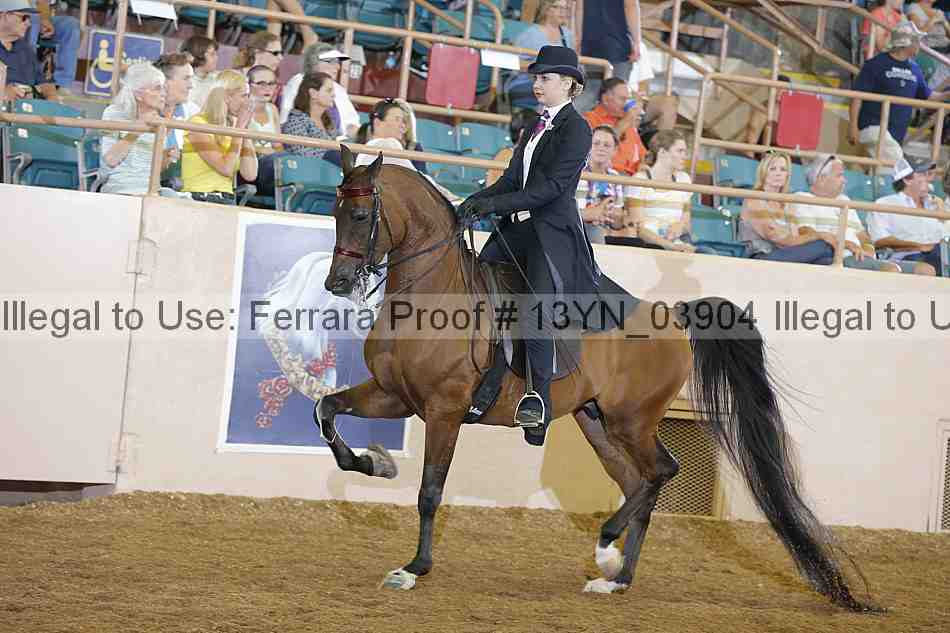 Proof 13yn_03904