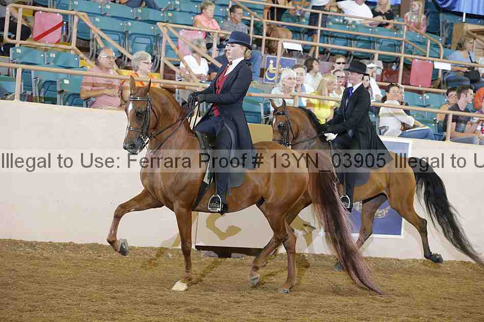 Proof 13yn_03905