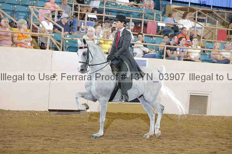 Proof 13yn_03907