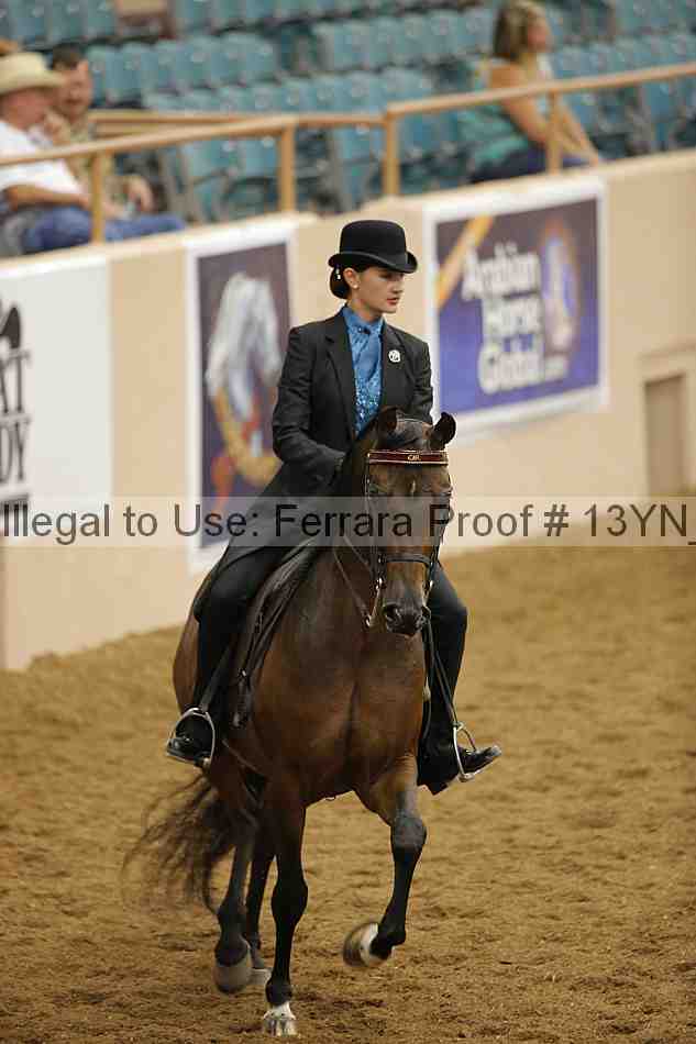 Proof 13yn_03908