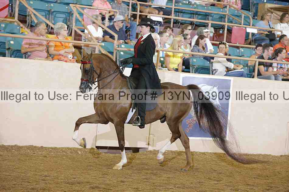 Proof 13yn_03909