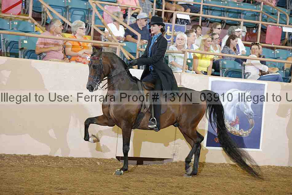 Proof 13yn_03910