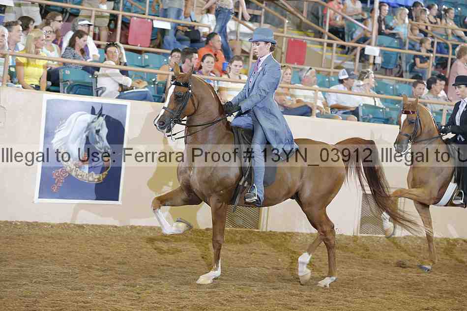 Proof 13yn_03912
