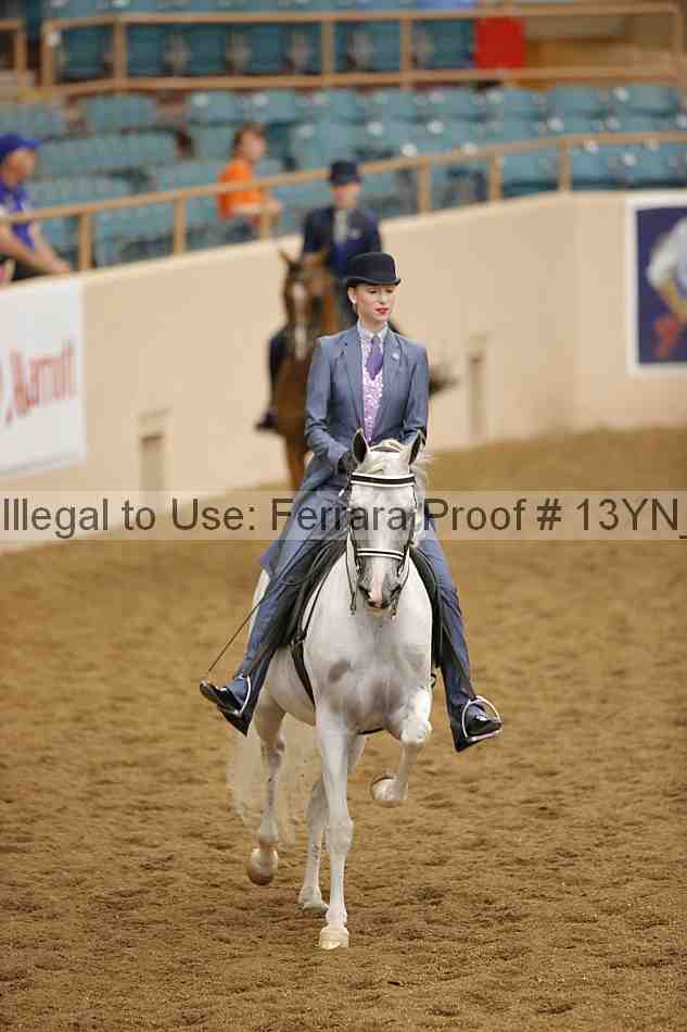 Proof 13yn_03916