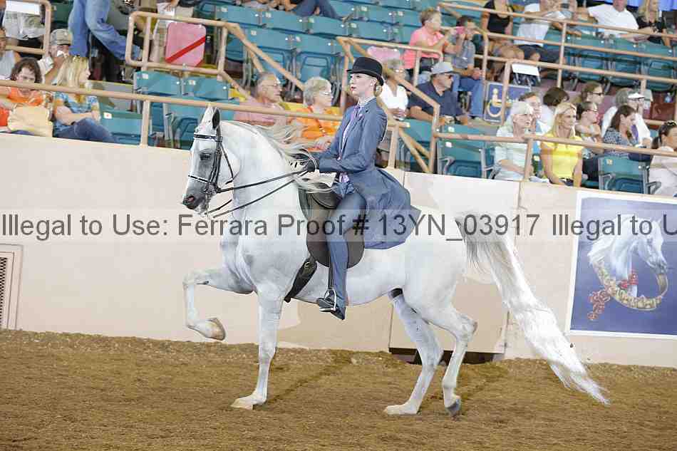 Proof 13yn_03917