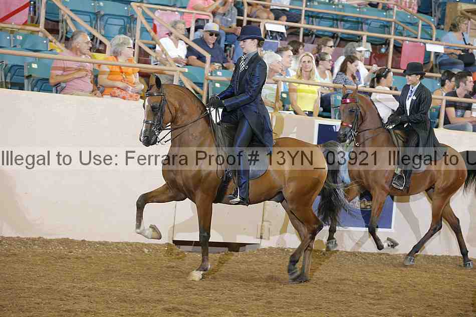 Proof 13yn_03921