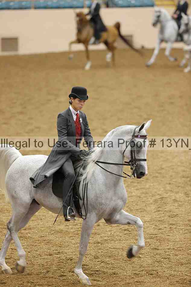 Proof 13yn_03924