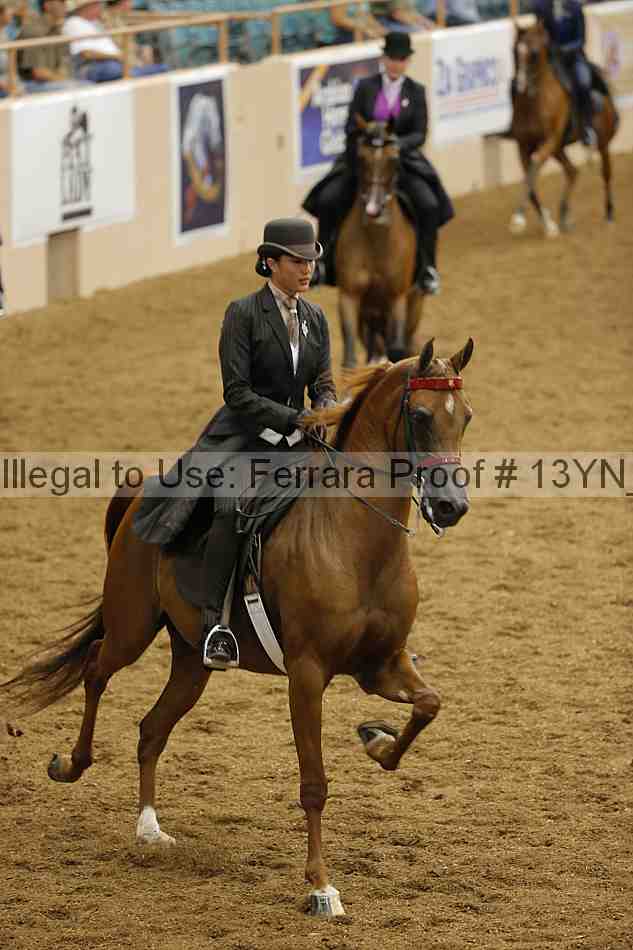 Proof 13yn_03931