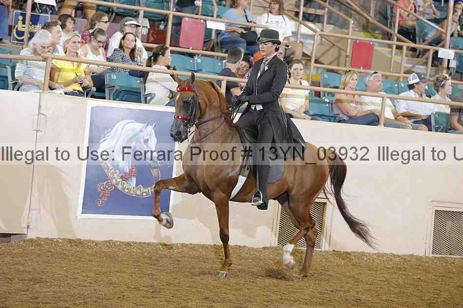 Proof 13yn_03932