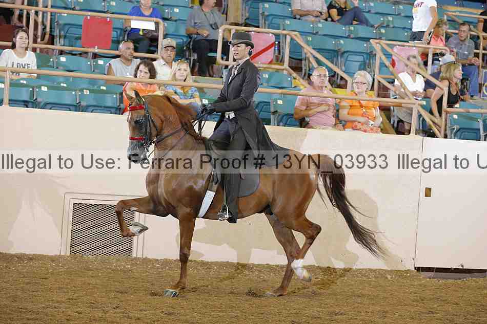 Proof 13yn_03933