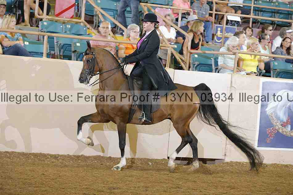 Proof 13yn_03934
