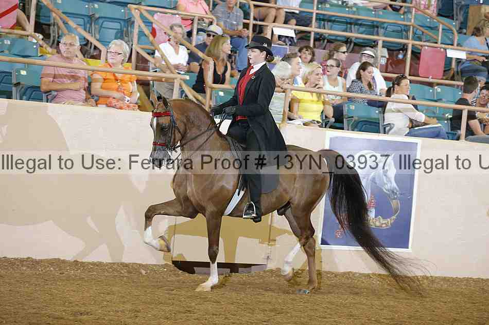 Proof 13yn_03937