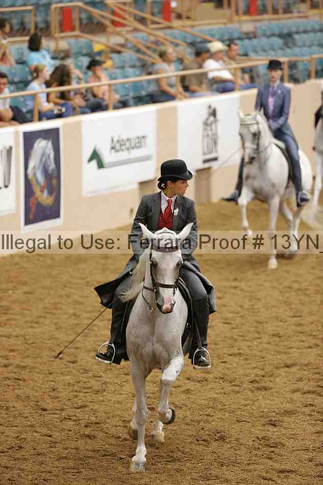 Proof 13yn_03938