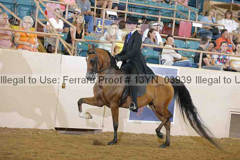 Proof 13yn_03939