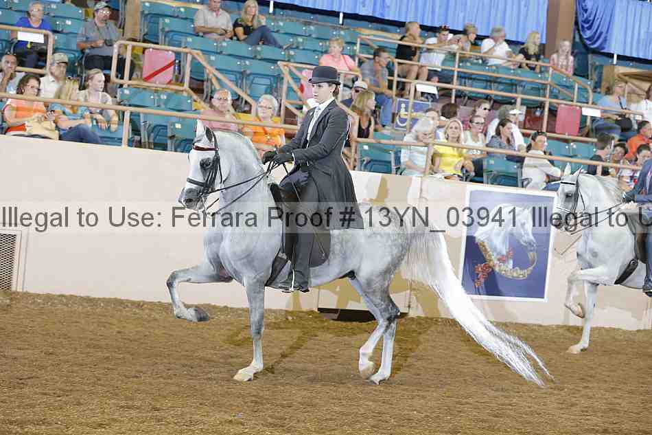 Proof 13yn_03941