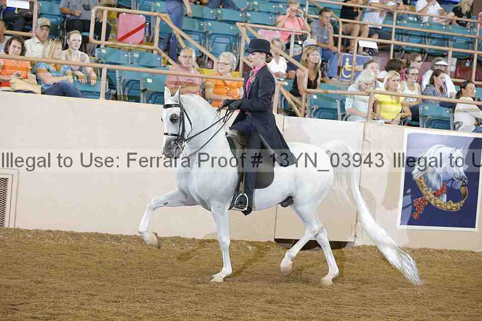 Proof 13yn_03943