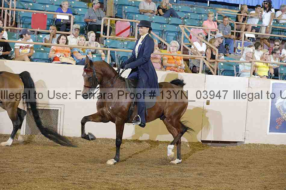 Proof 13yn_03947