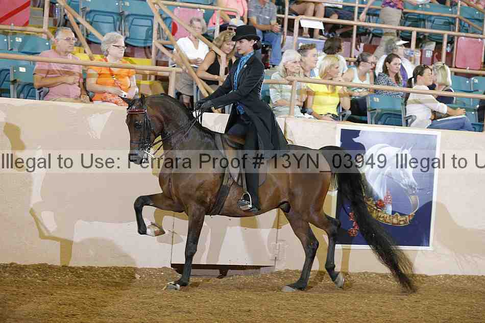 Proof 13yn_03949