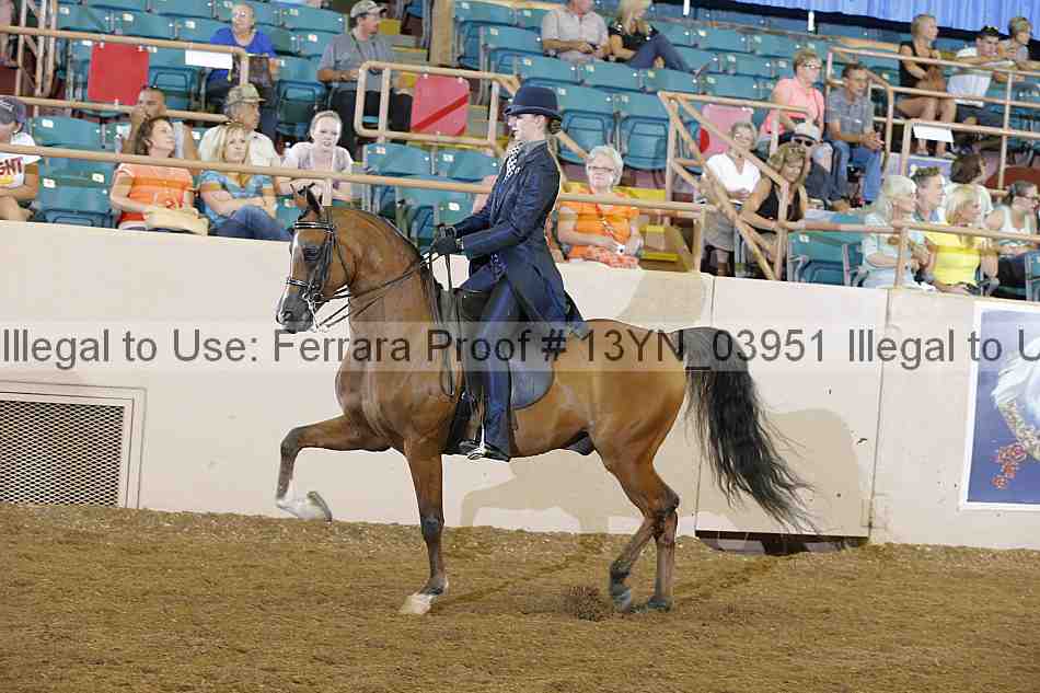 Proof 13yn_03951
