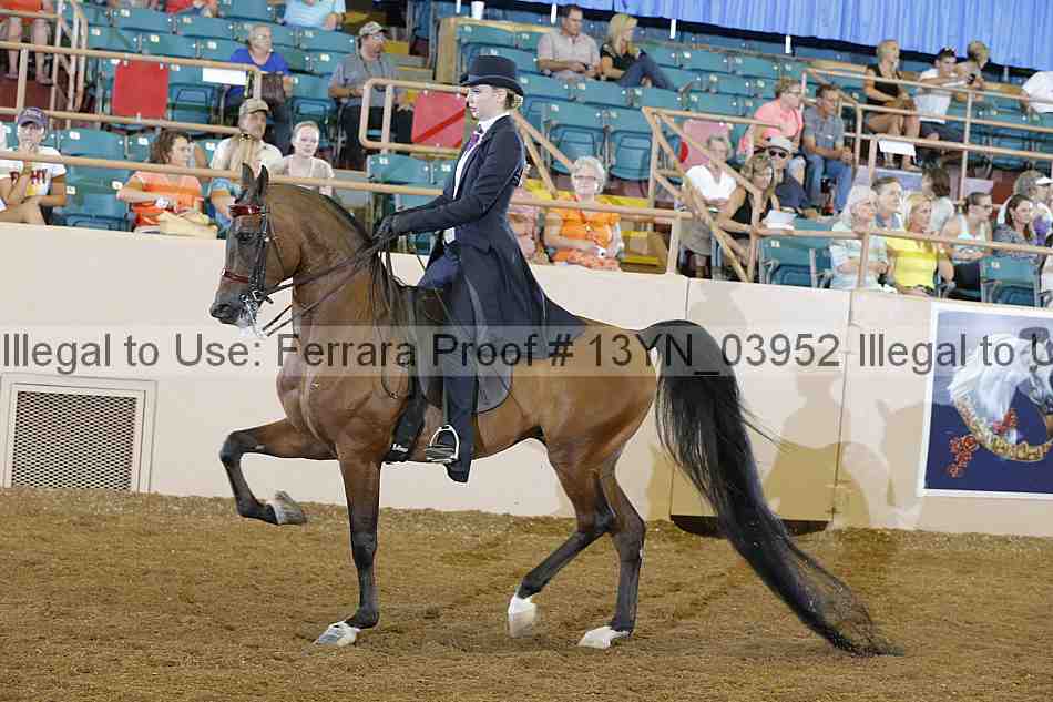 Proof 13yn_03952