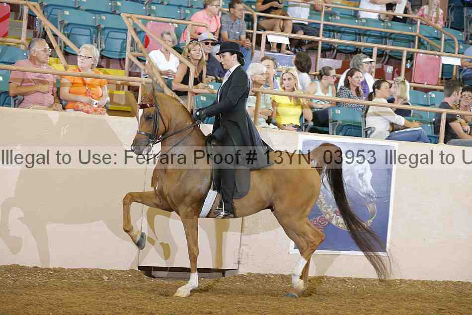 Proof 13yn_03953