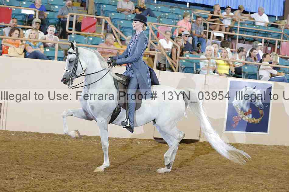 Proof 13yn_03954